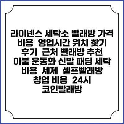 라이넨스 세탁소 빨래방 가격 비용 | 영업시간 위치 찾기 | 후기 | 근처 빨래방 추천 | 이불 운동화 신발 패딩 세탁 비용 | 세제 | 셀프빨래방 창업 비용 | 24시 코인빨래방