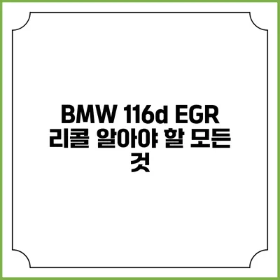BMW 116d EGR 리콜: 알아야 할 모든 것
