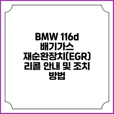 BMW 116d 배기가스 재순환장치(EGR) 리콜 안내 및 조치 방법