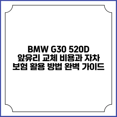 BMW G30 520D 앞유리 교체 비용과 자차 보험 활용 방법 완벽 가이드