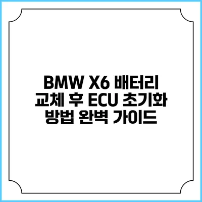 BMW X6 배터리 교체 후 ECU 초기화 방법 완벽 가이드