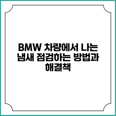 BMW 차량에서 나는 냄새 점검하는 방법과 해결책