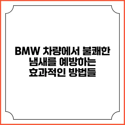 BMW 차량에서 불쾌한 냄새를 예방하는 효과적인 방법들