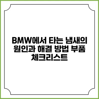 BMW에서 타는 냄새의 원인과 해결 방법: 부품 체크리스트