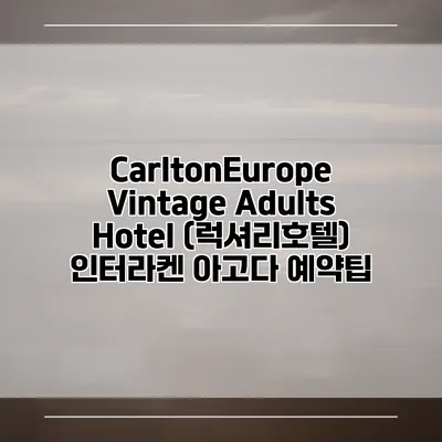 CarltonEurope Vintage Adults Hotel (럭셔리호텔) 인터라켄 아고다 예약팁