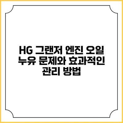 HG 그랜저 엔진 오일 누유 문제와 효과적인 관리 방법