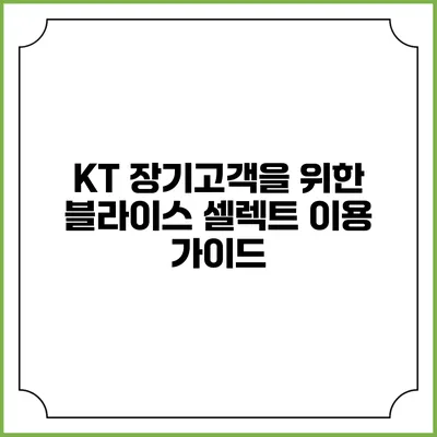KT 장기고객을 위한 블라이스 셀렉트 이용 가이드