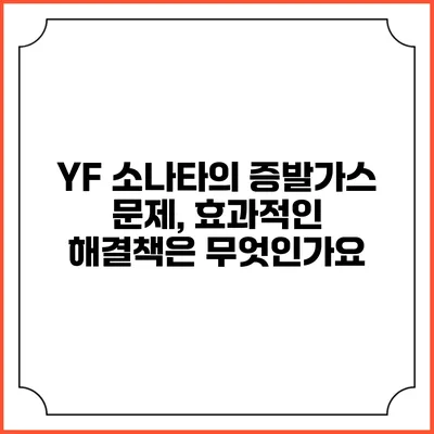 YF 소나타의 증발가스 문제, 효과적인 해결책은 무엇인가요?