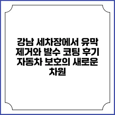 강남 세차장에서 유막 제거와 발수 코팅 후기: 자동차 보호의 새로운 차원