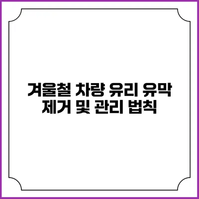 겨울철 차량 유리 유막 제거 및 관리 법칙