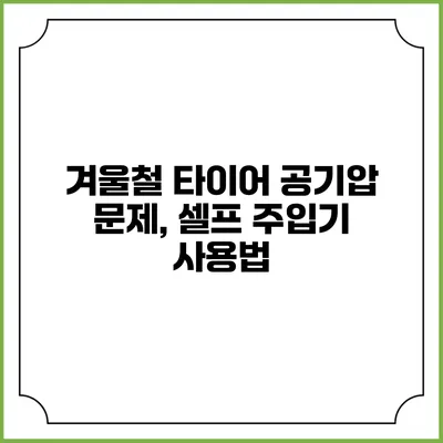 겨울철 타이어 공기압 문제, 셀프 주입기 사용법