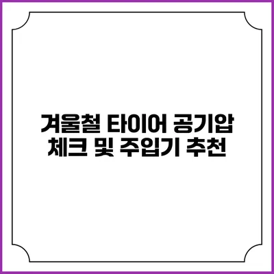 겨울철 타이어 공기압 체크 및 주입기 추천