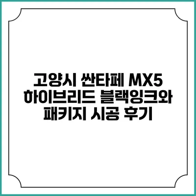 고양시 싼타페 MX5 하이브리드 블랙잉크와 패키지 시공 후기