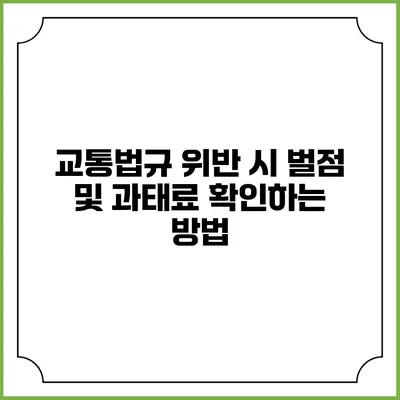 교통법규 위반 시 벌점 및 과태료 확인하는 방법