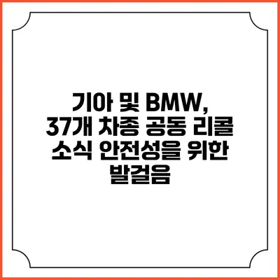 기아 및 BMW, 37개 차종 공동 리콜 소식: 안전성을 위한 발걸음