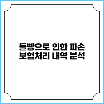돌빵으로 인한 파손 보험처리 내역 분석