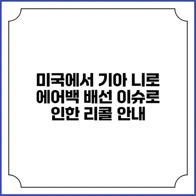 미국에서 기아 니로 에어백 배선 이슈로 인한 리콜 안내