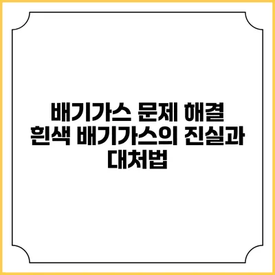 배기가스 문제 해결: 흰색 배기가스의 진실과 대처법