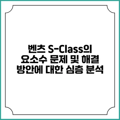 벤츠 S-Class의 요소수 문제 및 해결 방안에 대한 심층 분석