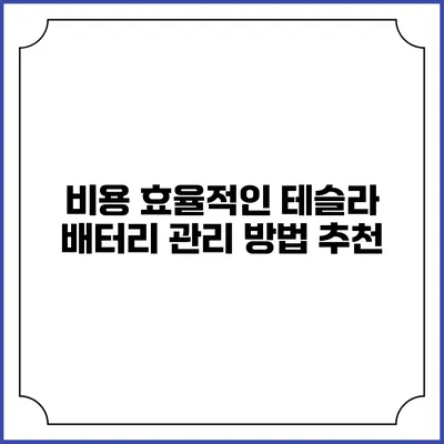 비용 효율적인 테슬라 배터리 관리 방법 추천