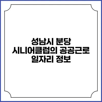 성남시 분당 시니어클럽의 공공근로 일자리 정보