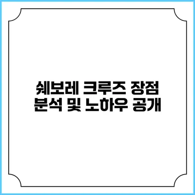 쉐보레 크루즈 장점 분석 및 노하우 공개