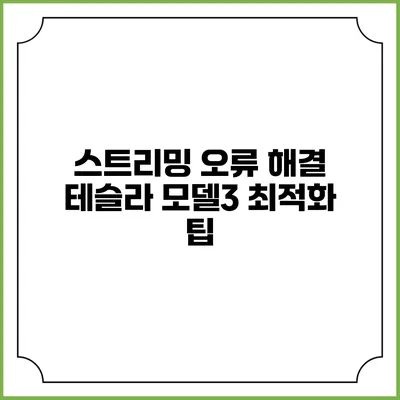 스트리밍 오류 해결 테슬라 모델3 최적화 팁