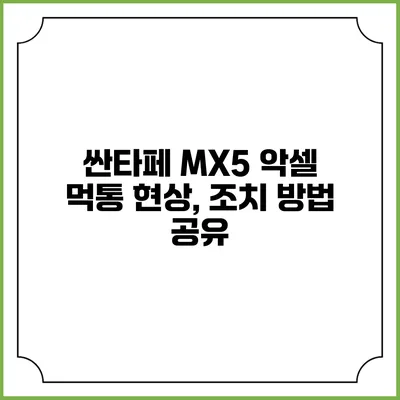 싼타페 MX5 악셀 먹통 현상, 조치 방법 공유