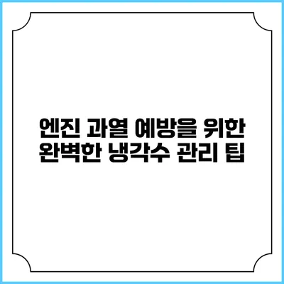 엔진 과열 예방을 위한 완벽한 냉각수 관리 팁