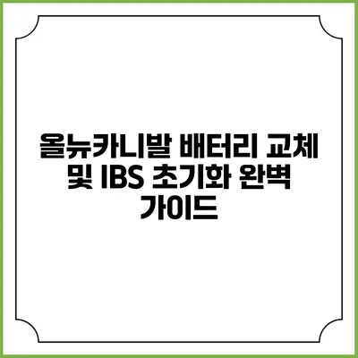 올뉴카니발 배터리 교체 및 IBS 초기화 완벽 가이드