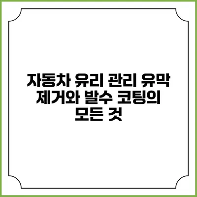 자동차 유리 관리: 유막 제거와 발수 코팅의 모든 것