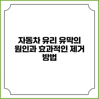 자동차 유리 유막의 원인과 효과적인 제거 방법