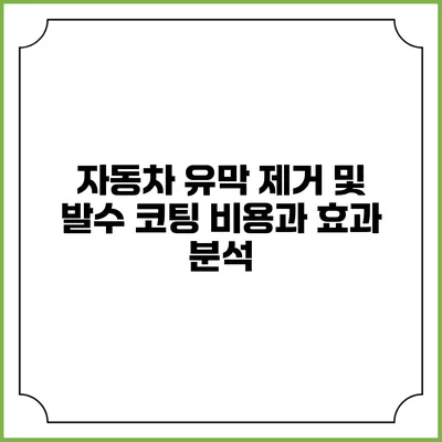 자동차 유막 제거 및 발수 코팅 비용과 효과 분석