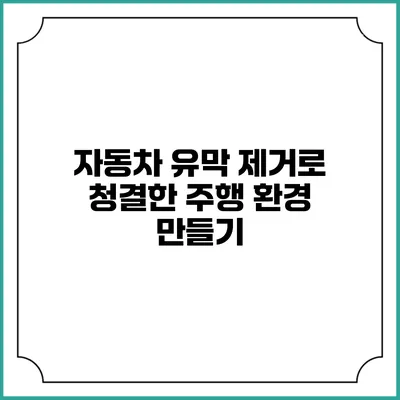 자동차 유막 제거로 청결한 주행 환경 만들기
