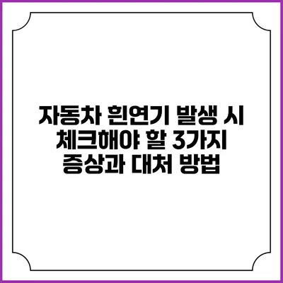 자동차 흰연기 발생 시 체크해야 할 3가지 증상과 대처 방법