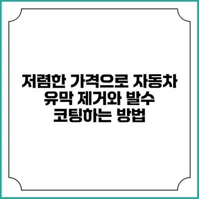 저렴한 가격으로 자동차 유막 제거와 발수 코팅하는 방법