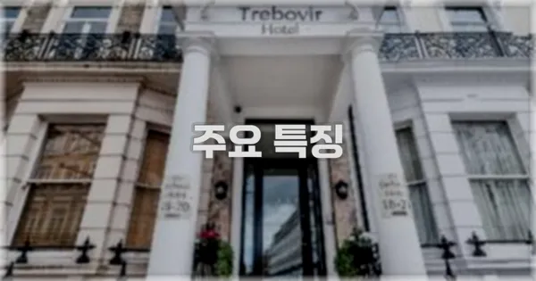 ✨ 주요 특징