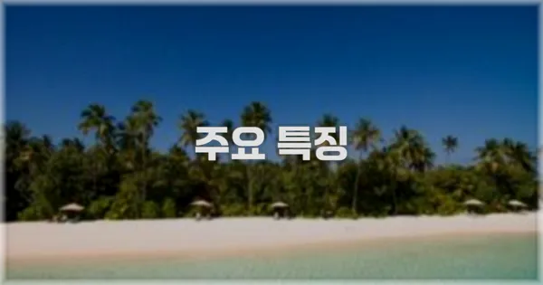 ✨ 주요 특징