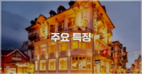 ✨ 주요 특징