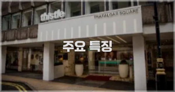 ✨ 주요 특징