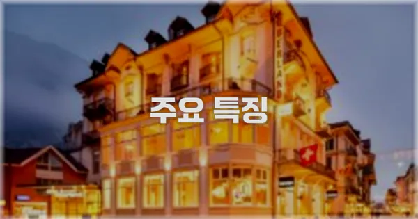 ✨ 주요 특징