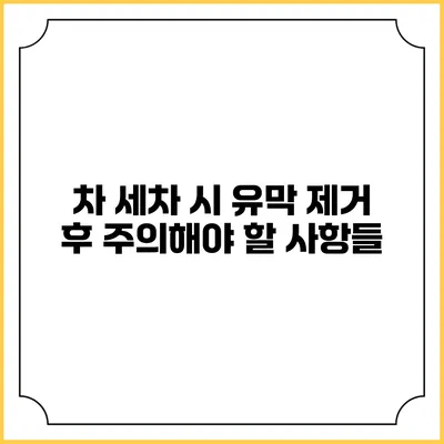 차 세차 시 유막 제거 후 주의해야 할 사항들