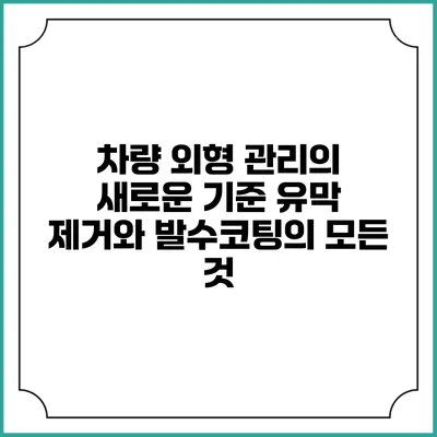 차량 외형 관리의 새로운 기준: 유막 제거와 발수코팅의 모든 것