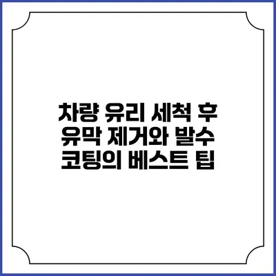 차량 유리 세척 후 유막 제거와 발수 코팅의 베스트 팁