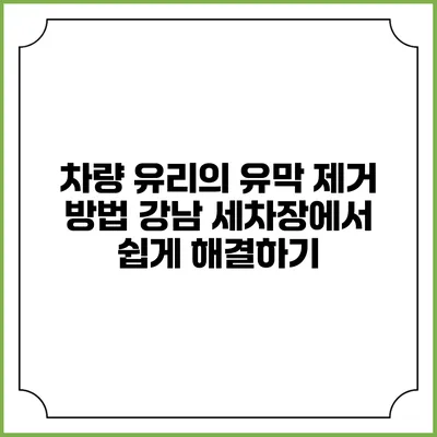 차량 유리의 유막 제거 방법: 강남 세차장에서 쉽게 해결하기