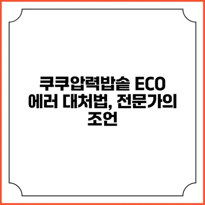 쿠쿠압력밥솥 ECO 에러 대처법, 전문가의 조언