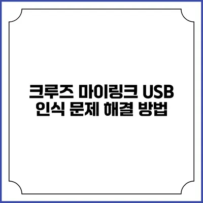 크루즈 마이링크 USB 인식 문제 해결 방법