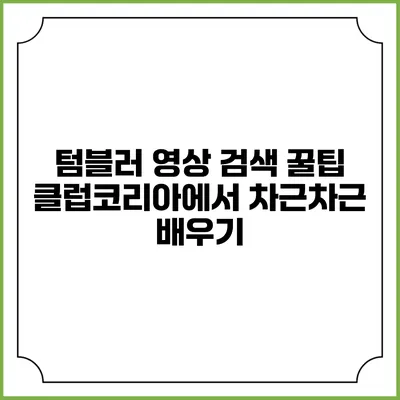 텀블러 영상 검색 꿀팁 클럽코리아에서 차근차근 배우기
