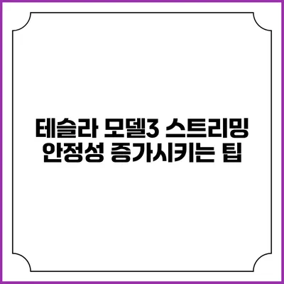 테슬라 모델3 스트리밍 안정성 증가시키는 팁