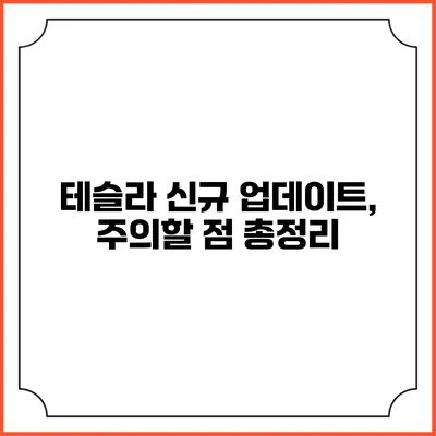 테슬라 신규 업데이트, 주의할 점 총정리